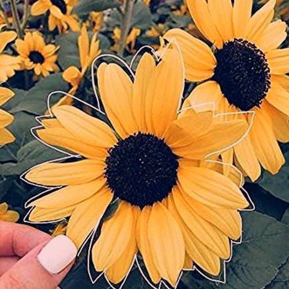 Meet me! - Picture 1 of 1